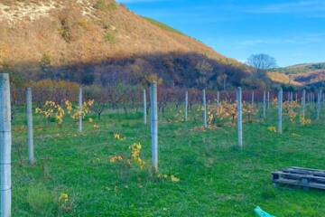 С/х использование, 107 сот.